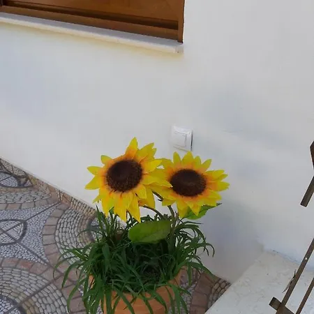 Anna - Maria Luxury * Szkála Rahoníu