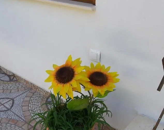 Anna - Maria Luxury * Skala Rachoni (Thasos)